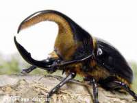 上海千珏电子商务有限公司