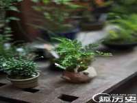 上海千珏电子商务有限公司