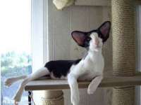 上海千珏电子商务有限公司