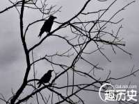 上海千珏电子商务有限公司