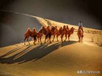 上海千珏电子商务有限公司