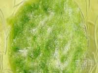 上海千珏电子商务有限公司