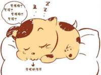 上海千珏电子商务有限公司