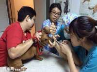 上海千珏电子商务有限公司