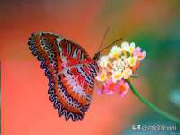 上海千珏电子商务有限公司