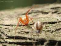 上海千珏电子商务有限公司