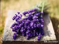 上海千珏电子商务有限公司