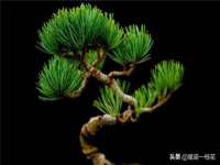 上海千珏电子商务有限公司