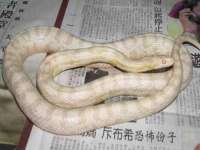 上海千珏电子商务有限公司