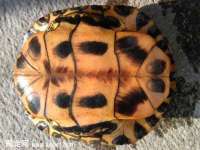 上海千珏电子商务有限公司