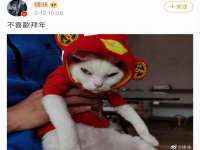 上海千珏电子商务有限公司